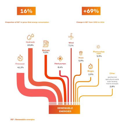 Firewood as a major contributor among renewable energy sources